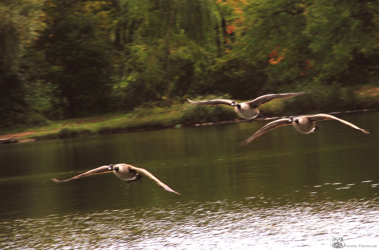 Ī����ͬѧ�ŷɻ�?