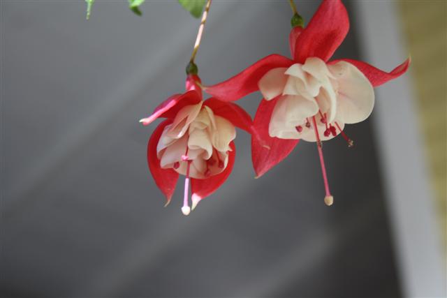 Picture 127 (Small).jpg