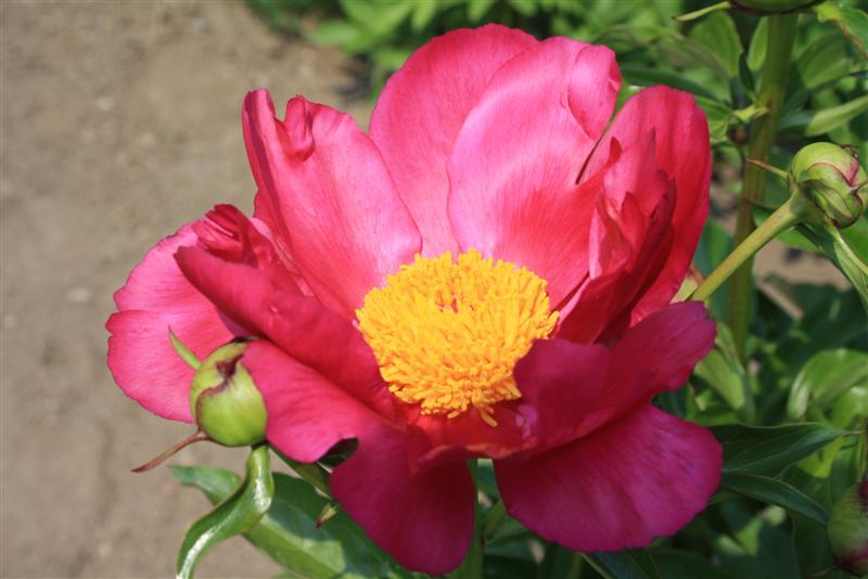 Picture 036 (Medium).jpg