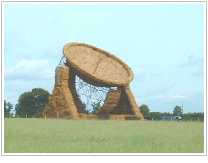 conew_6.jpg