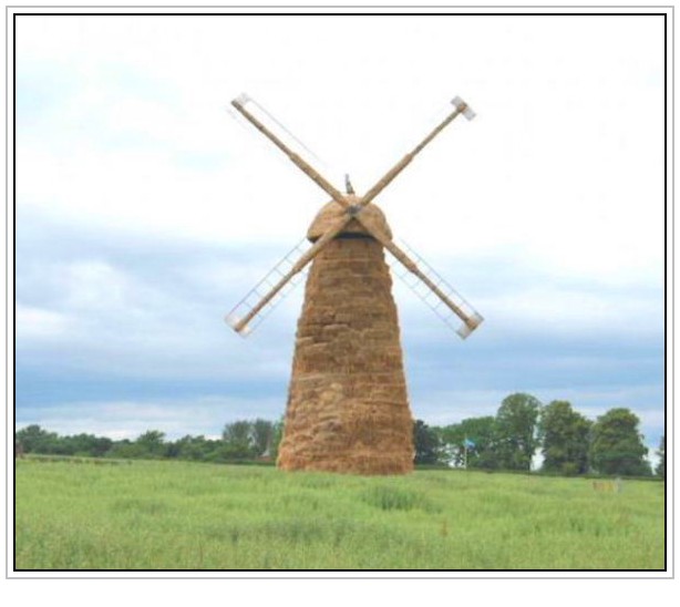 conew_8.jpg