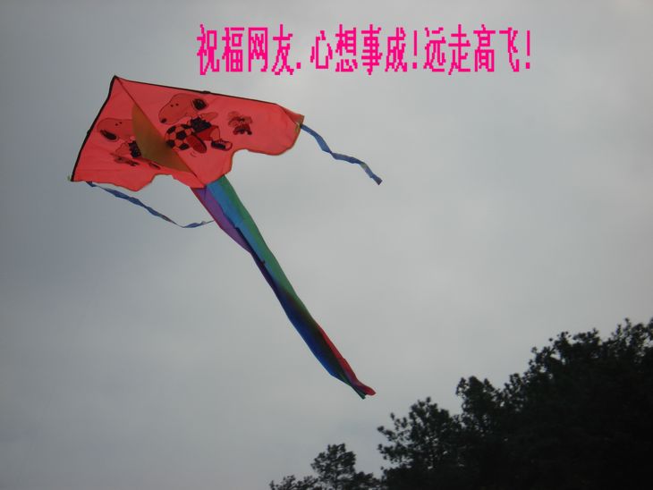 DSC09529.jpg