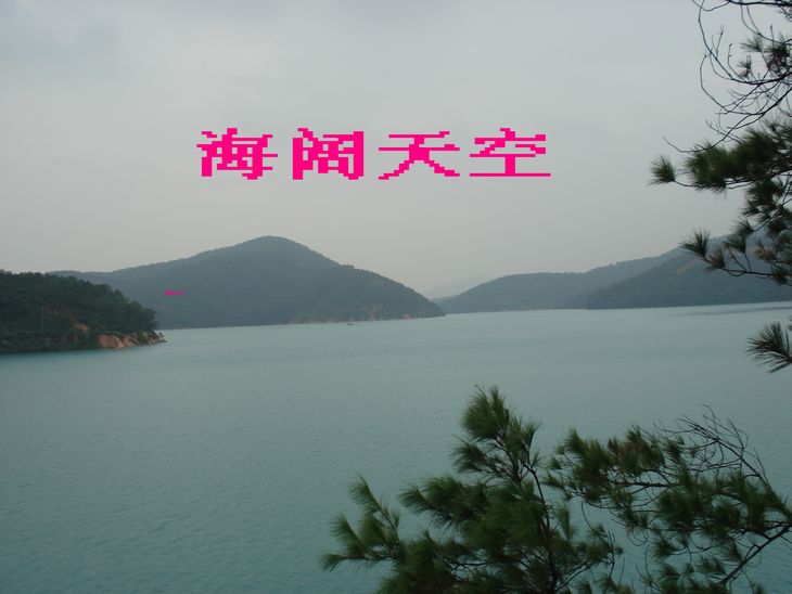 DSC09558.jpg
