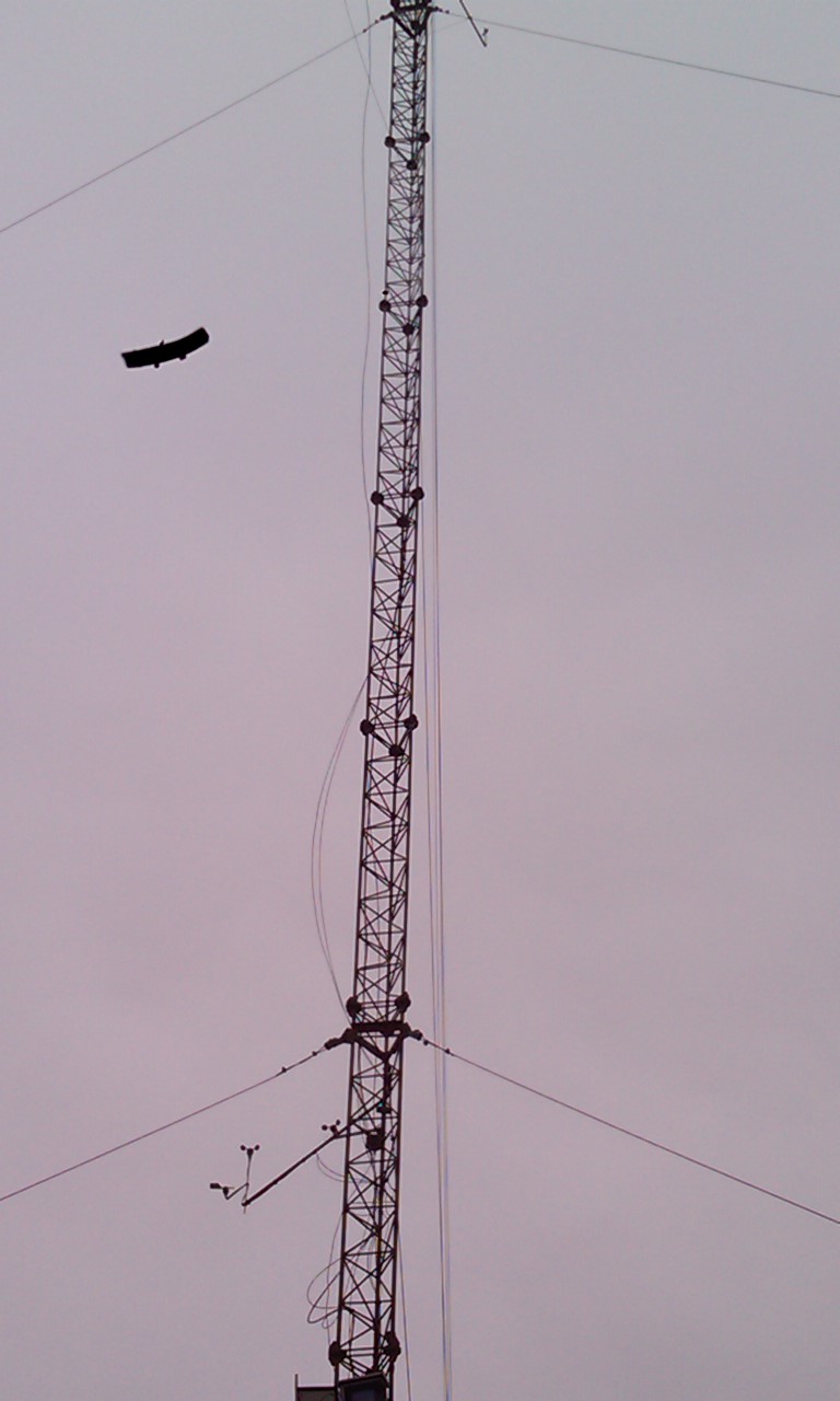 IMAG0167.jpg