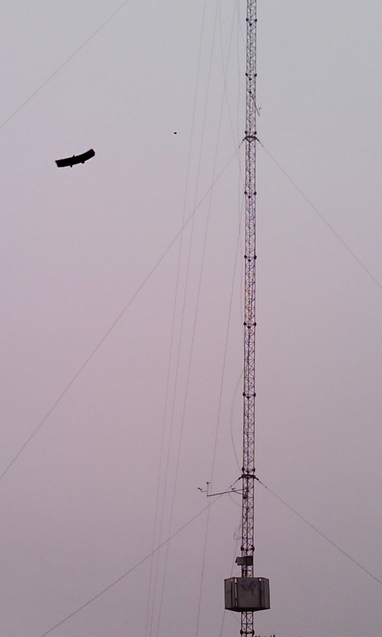 IMAG0177.jpg