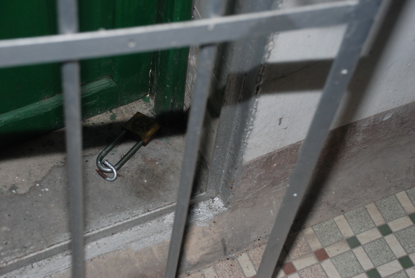 DSC_3901ݱ3.jpg