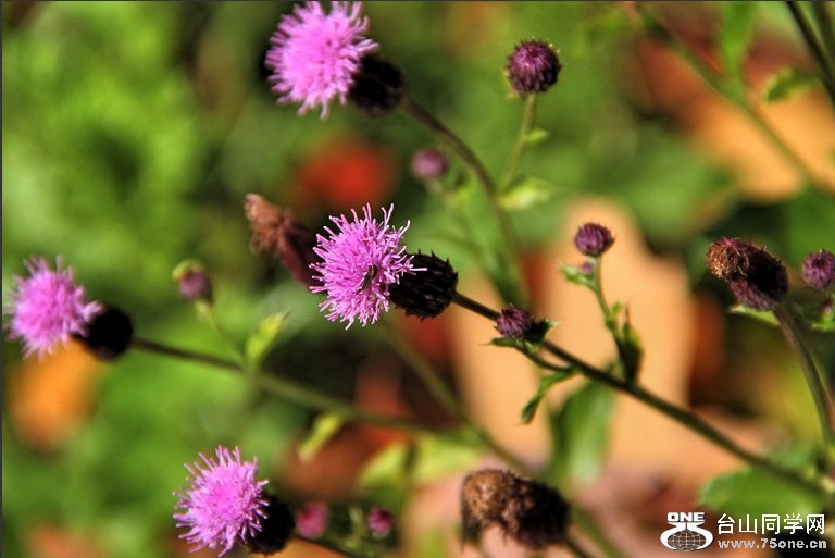 [10_15_10][19_29_18][Maxthon Shot].jpg