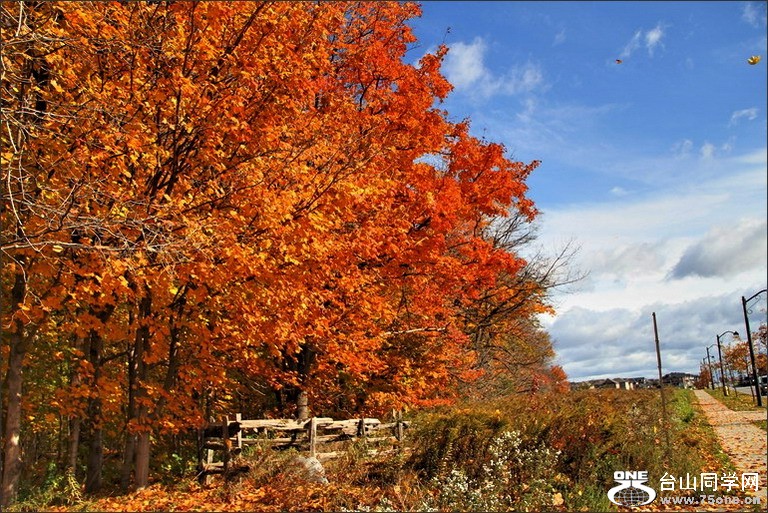 [10_15_10][19_08_57][Maxthon Shot].jpg