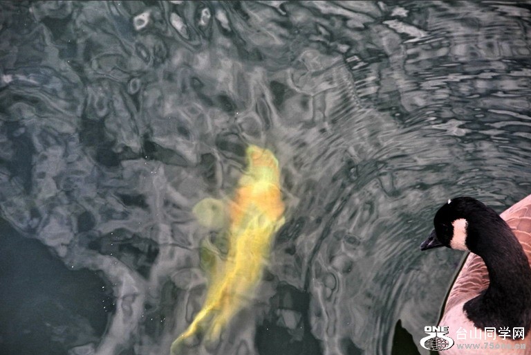 [10_18_10][19_36_08][Maxthon Shot].jpg