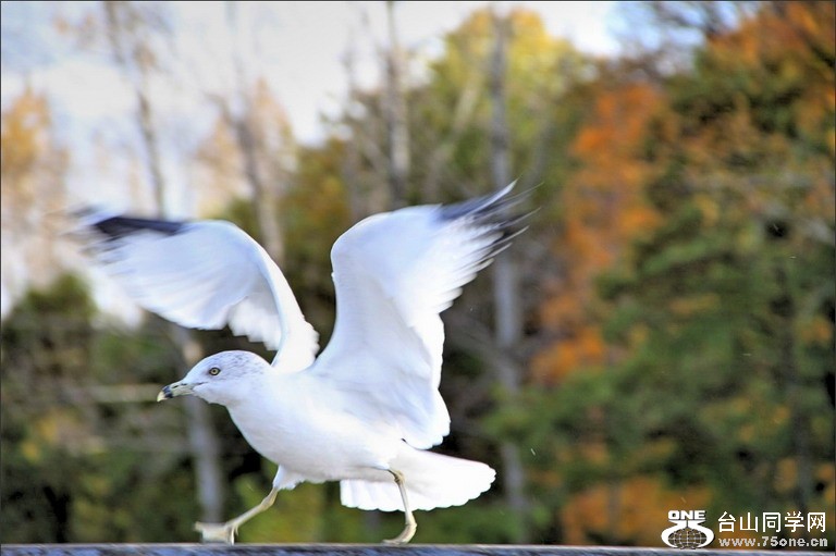 [10_18_10][19_28_00][Maxthon Shot].jpg