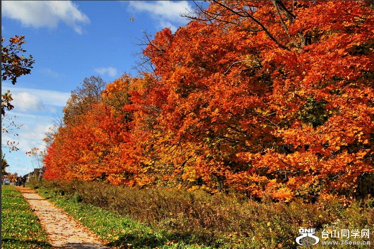 [10_15_10][19_33_38][Maxthon Shot].jpg