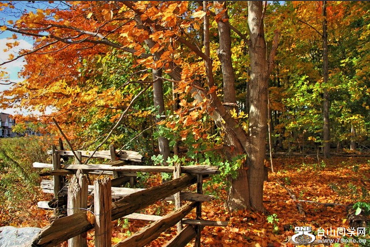 [10_15_10][19_34_48][Maxthon Shot].jpg