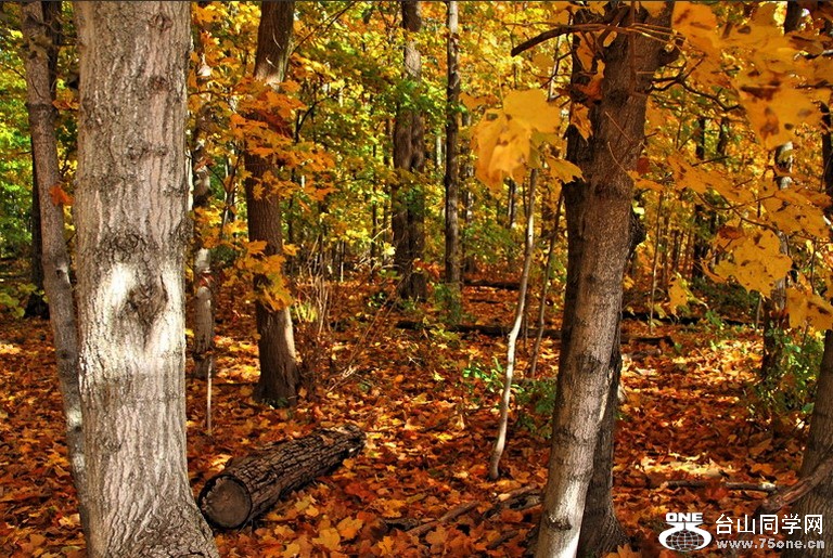 [10_15_10][19_30_09][Maxthon Shot].jpg