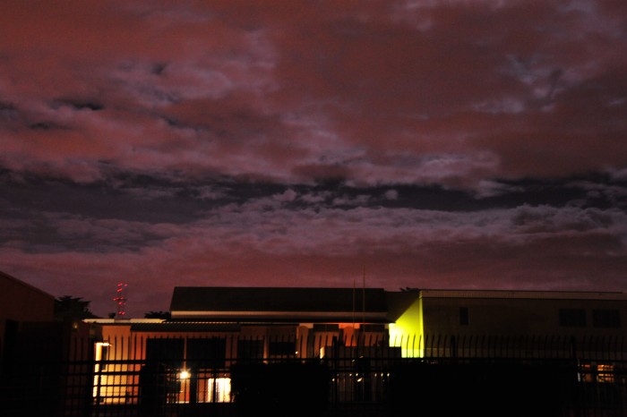 DSC_1856_conew1.jpg