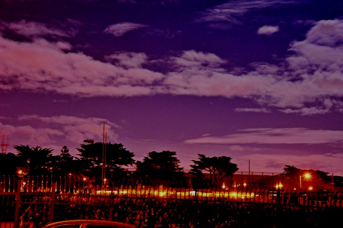 DSC_1864_conew2.jpg