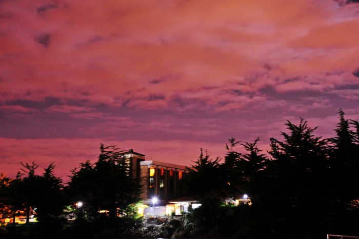 DSC_1854_conew1.jpg
