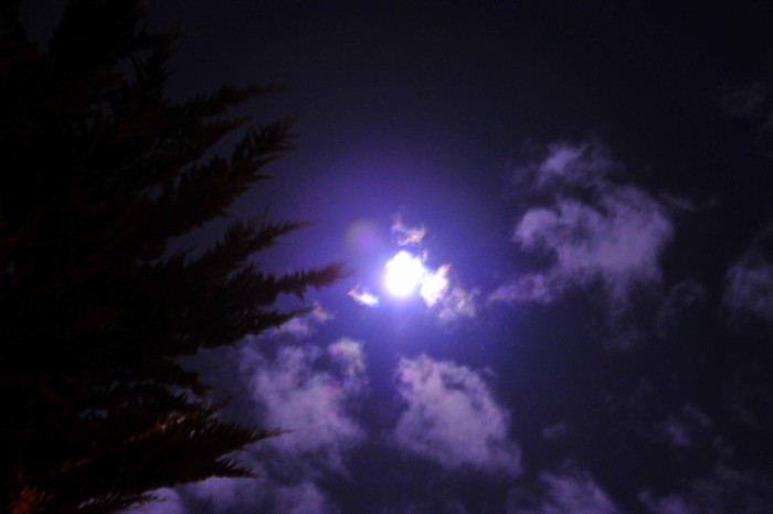 DSC_1860_conew1.jpg