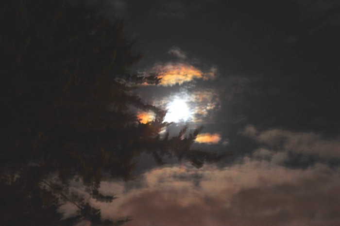 DSC_1839_conew1.jpg