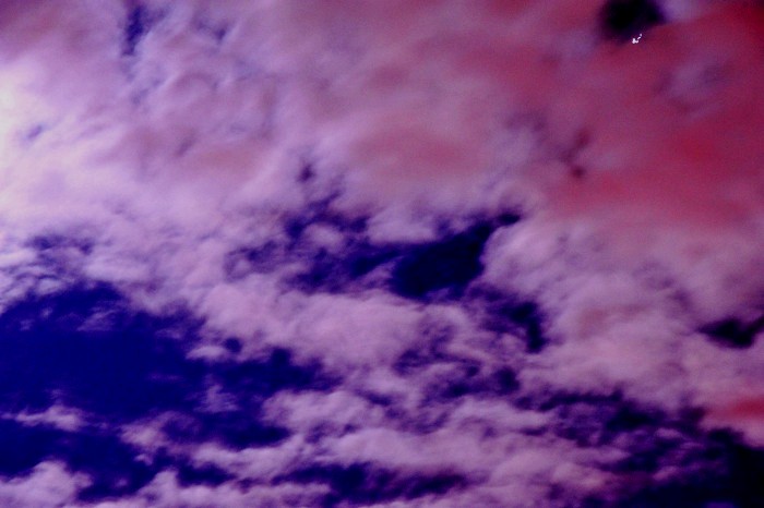 DSC_1847_conew2.jpg