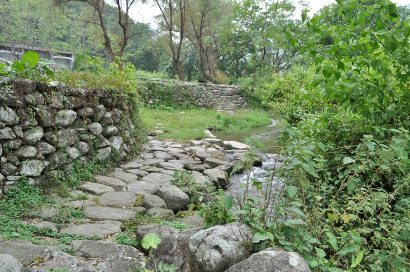 DSC_2816.jpg