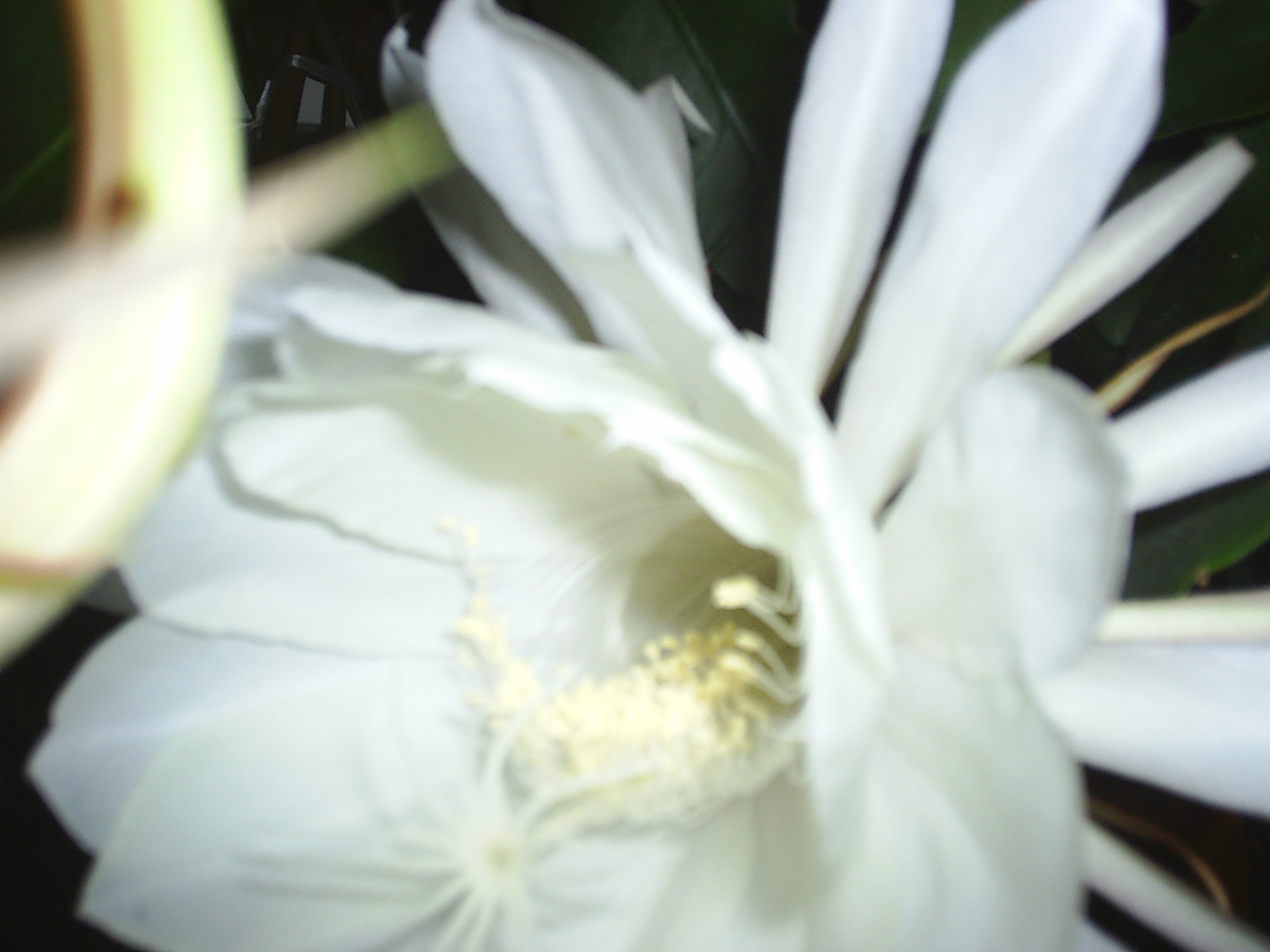 S3010170.JPG