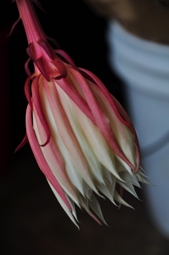 DSC_9985.jpg