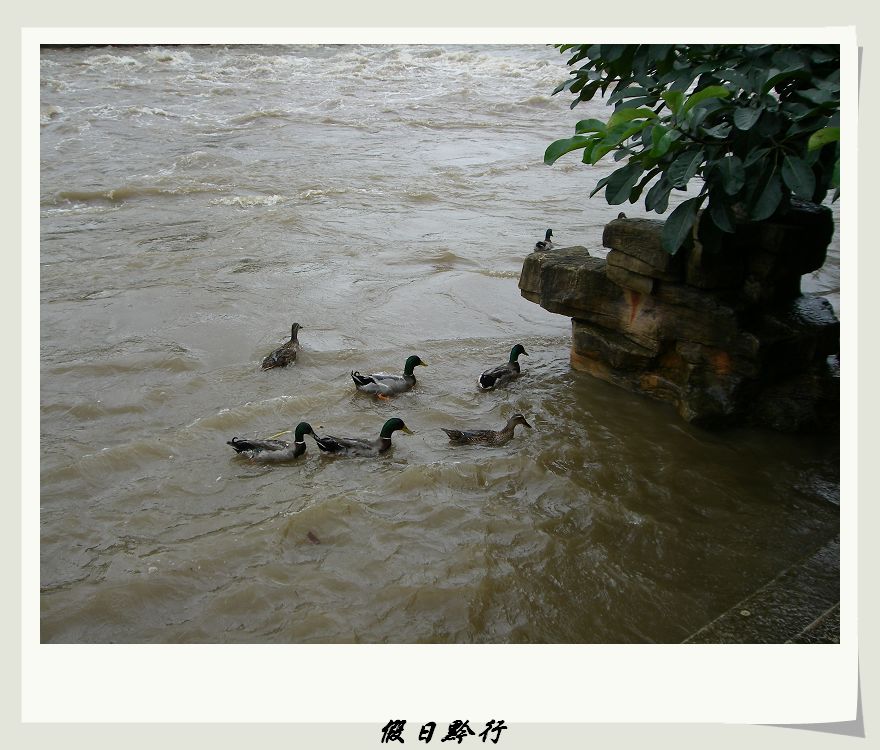 IMGP0407.jpg