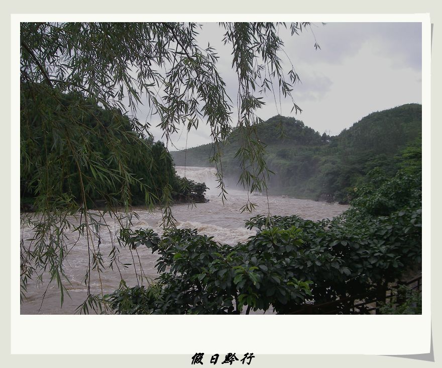 IMGP0405.jpg