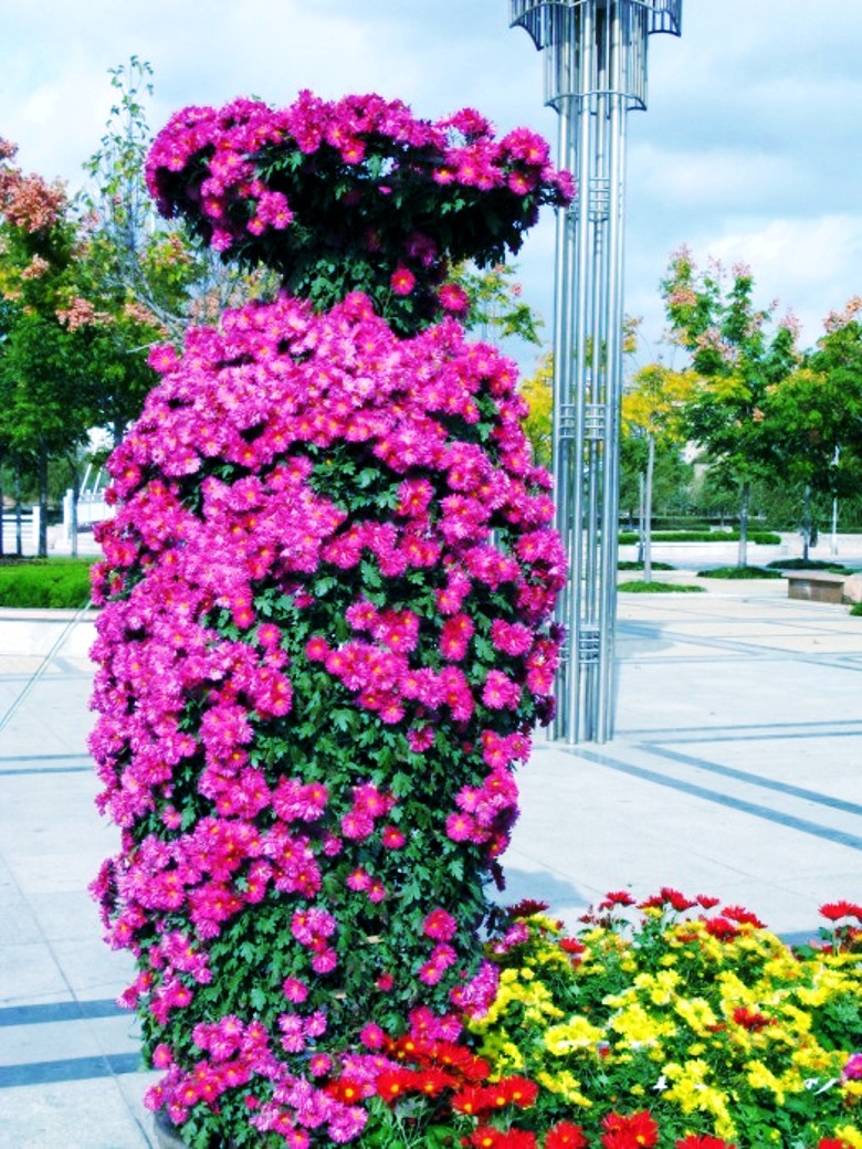 2009926161853_conew1.jpg