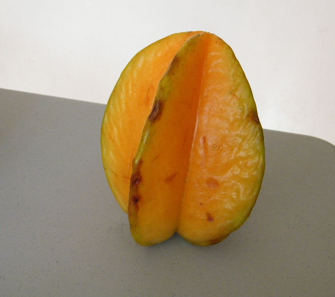 DSCF5665.JPG