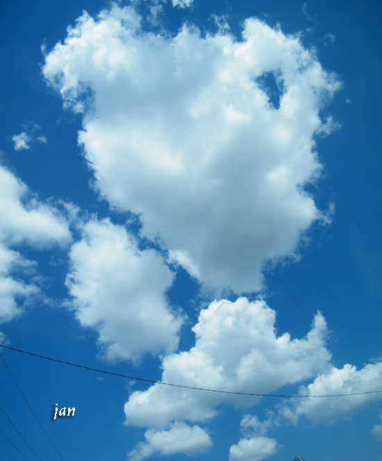 DSCF6236=0.jpg