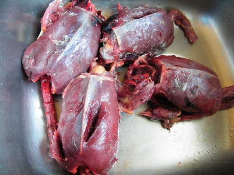 DSCF4342=0.jpg