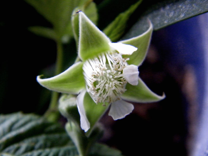 DSCF6194.jpg