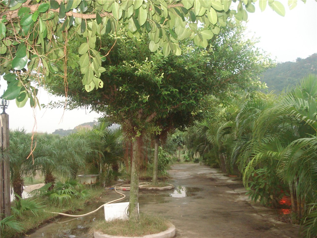 DSC00938_.jpg