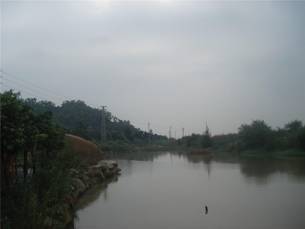 DSC00937_.jpg
