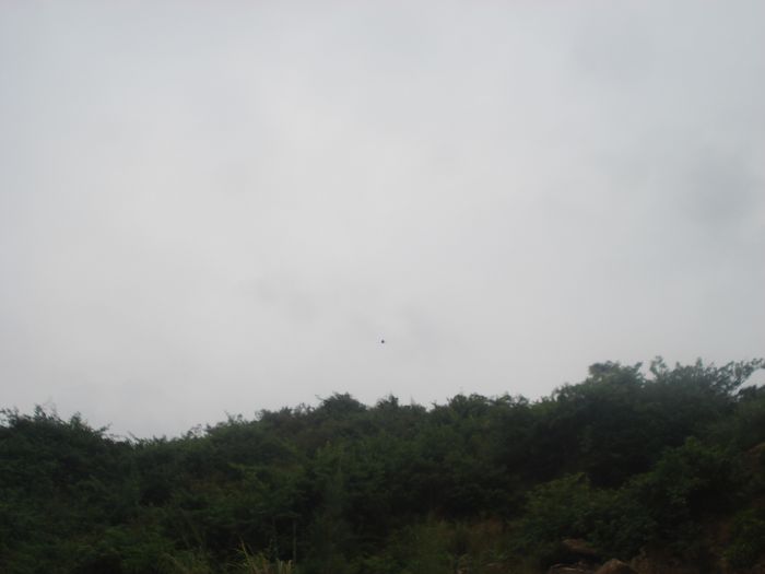 DSC00919.jpg