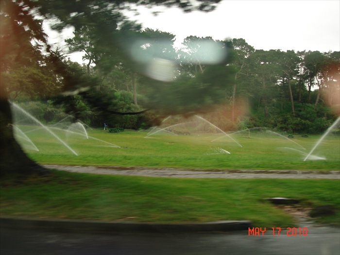 DSC00233.JPG