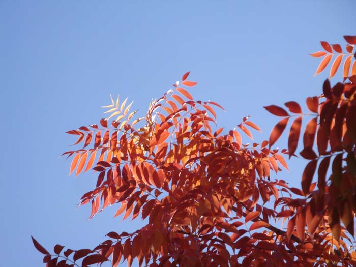 DSC02261.JPG
