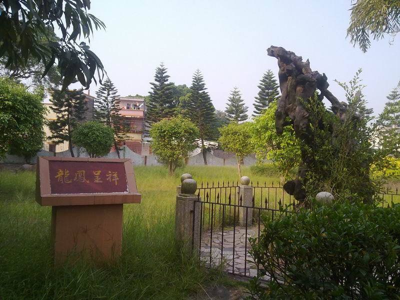 С 20101107620.jpg