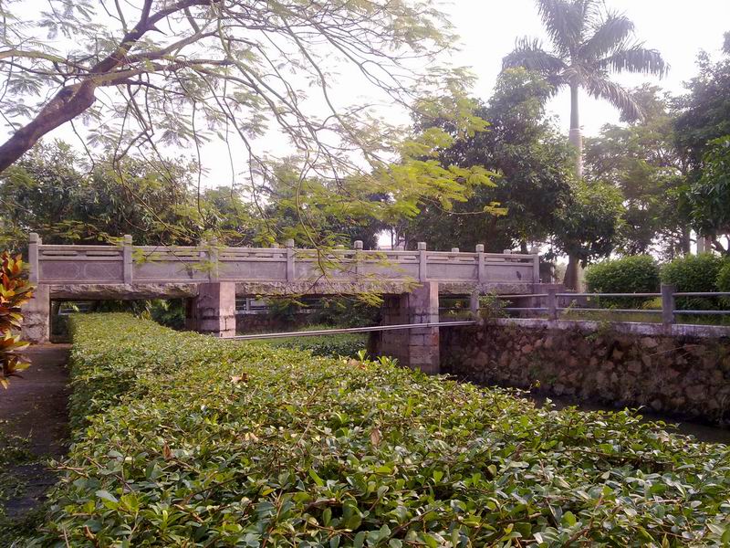 С 20101107619.jpg