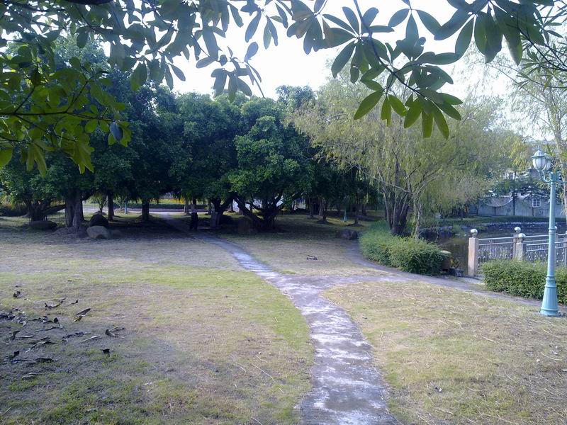С 20101107629.jpg