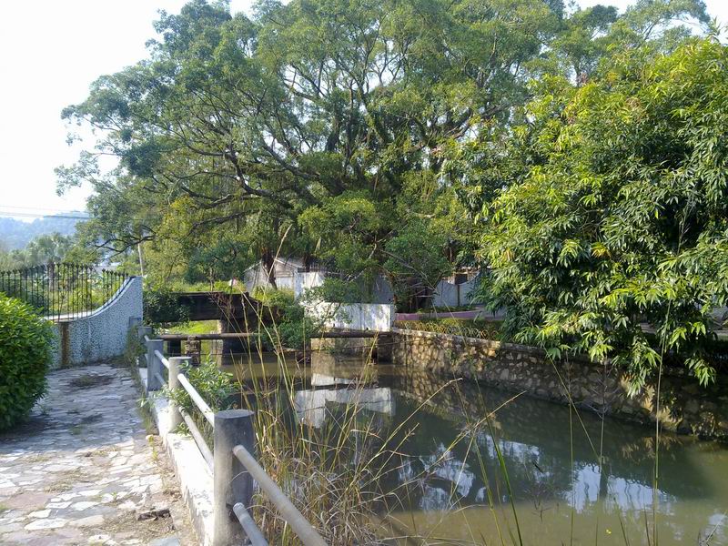 С 20101111643.jpg