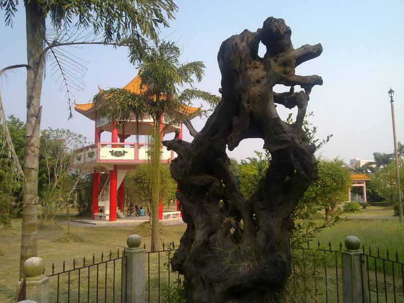 С 20101107621.jpg