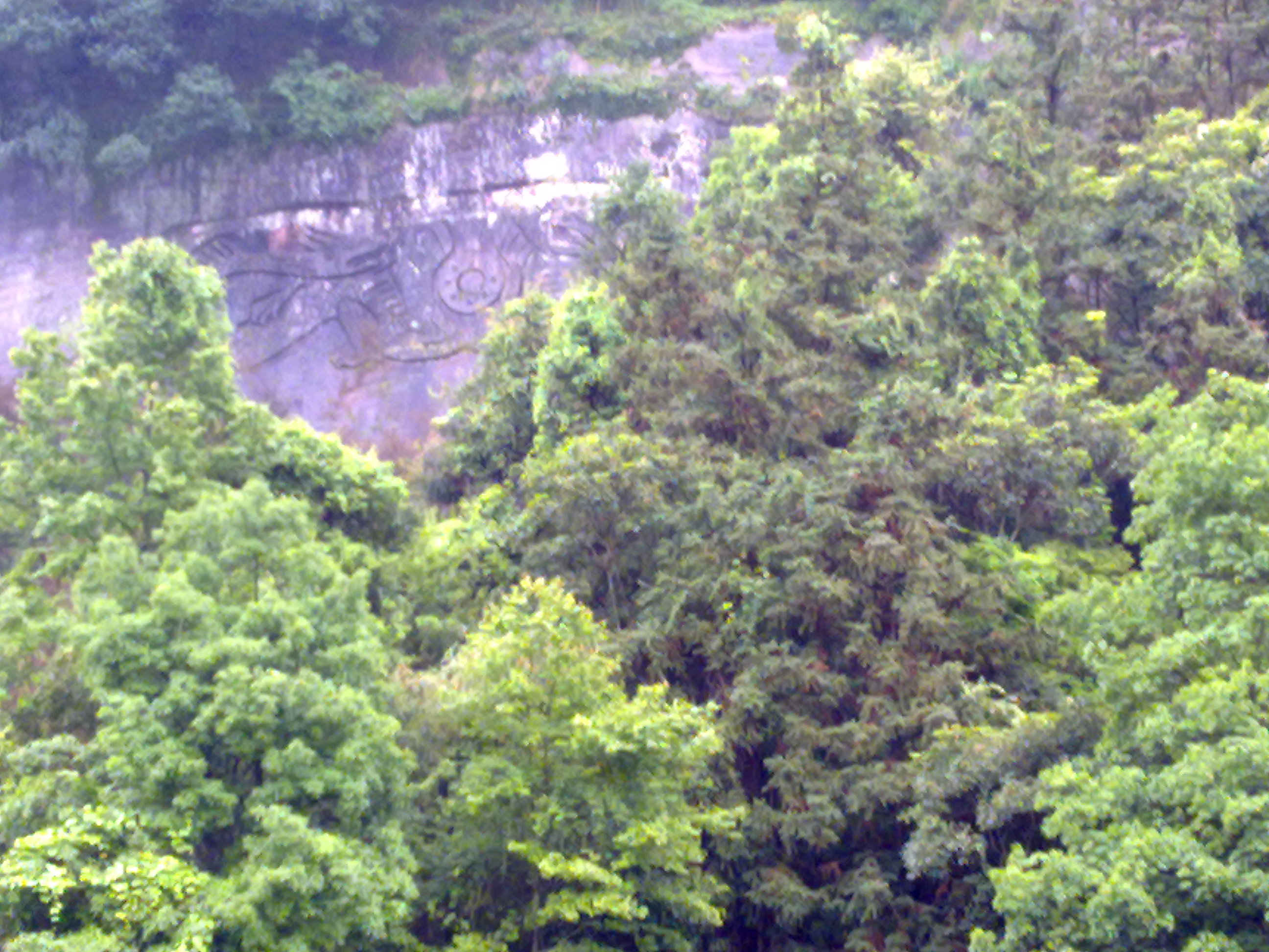 20100408233.jpg