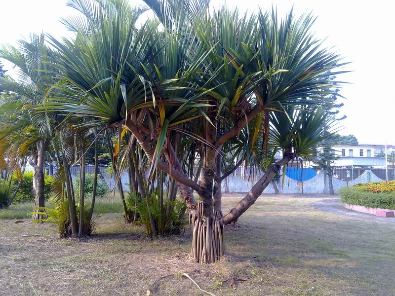С 20101107624.jpg