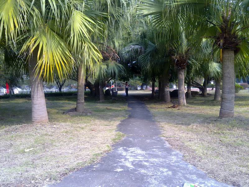 С 20101107626.jpg