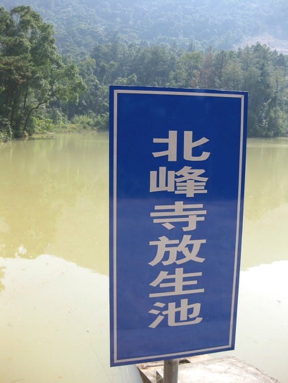 IMG_9483 (563x750)_.jpg