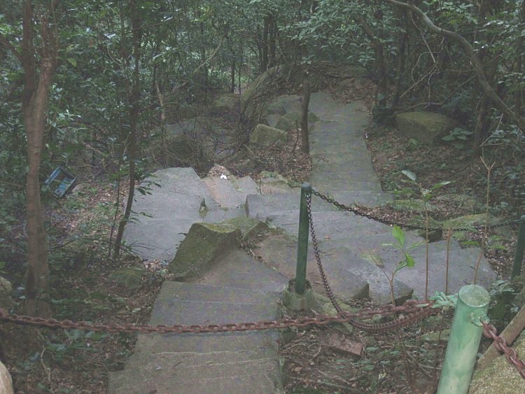 IMG_9552 (750x563)_.jpg