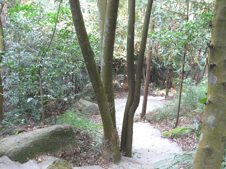 IMG_9542 (750x563)_.jpg