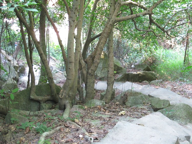 IMG_9541 (750x563)_.jpg